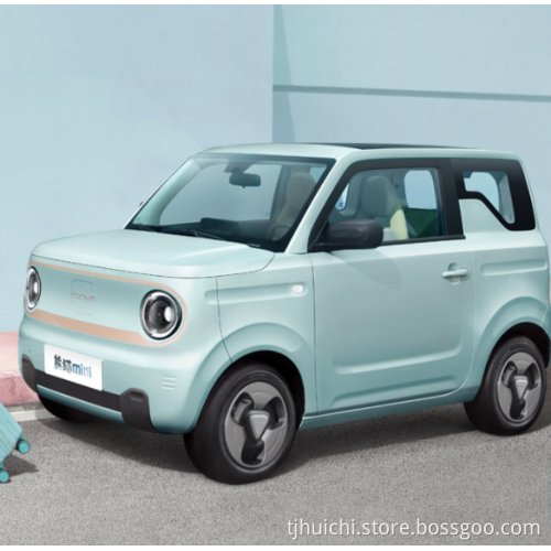Electric Geely Panda Patrol Auto 4 posti